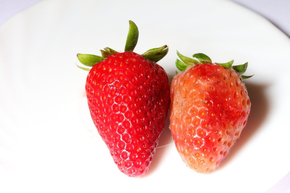 Detail Image Strawberry Nomer 47