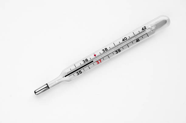 Detail Image Thermometer Nomer 13