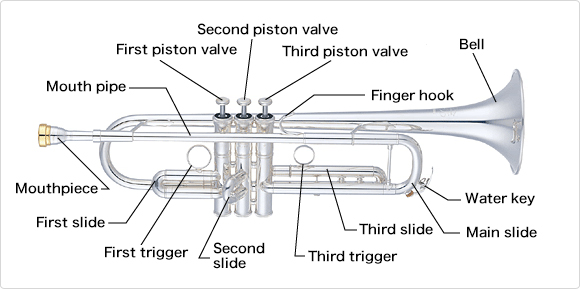 Detail Image Trumpet Nomer 29