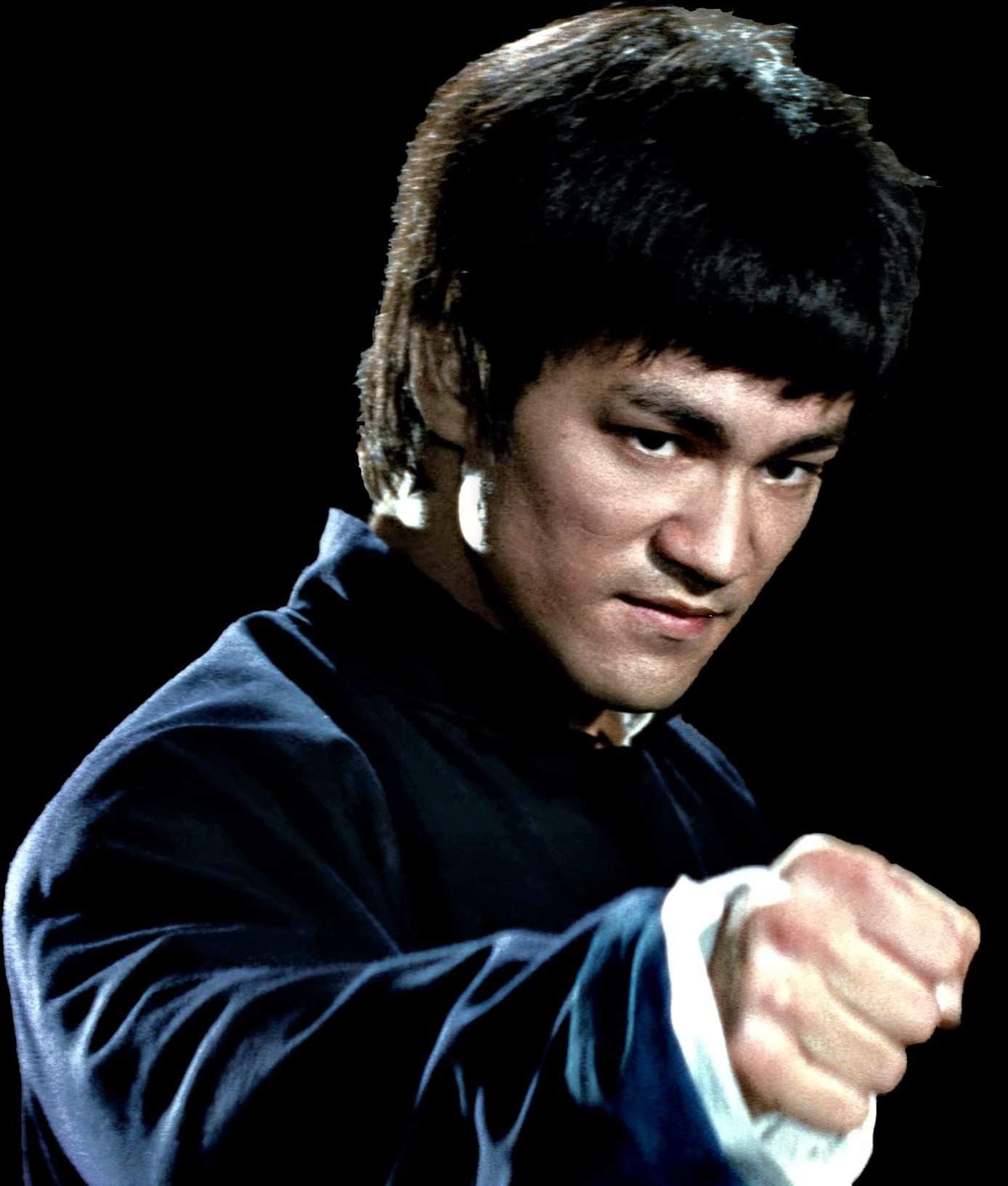 Detail Imagenes De Bruce Lee Nomer 22