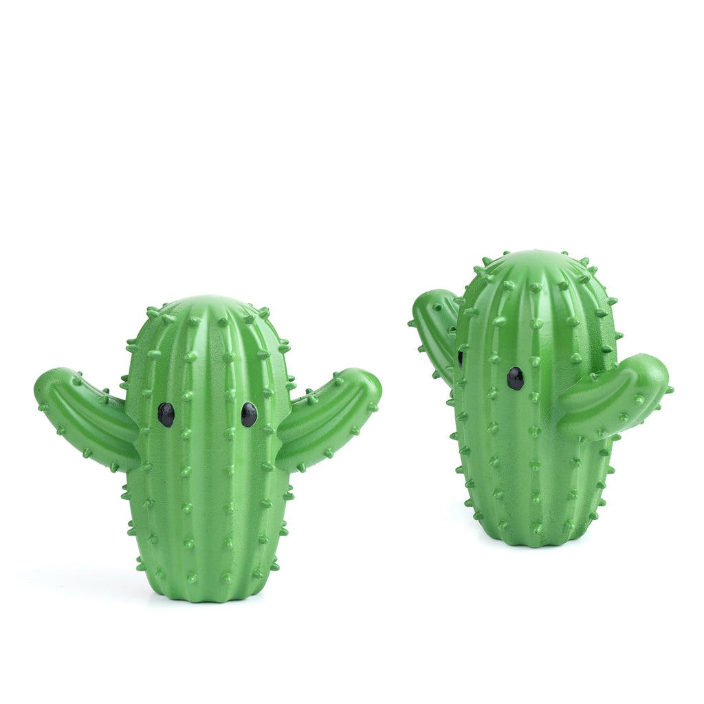 Detail Imagenes De Cactus Nomer 16