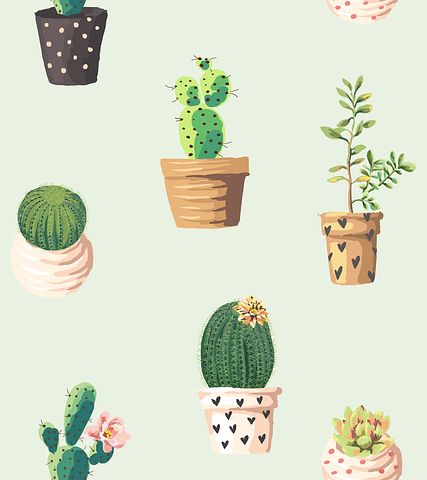 Detail Imagenes De Cactus Nomer 17