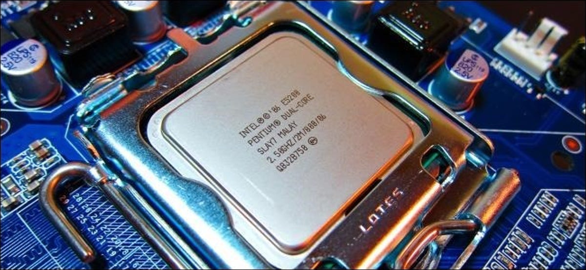 Detail Imagenes De Cpus Nomer 13