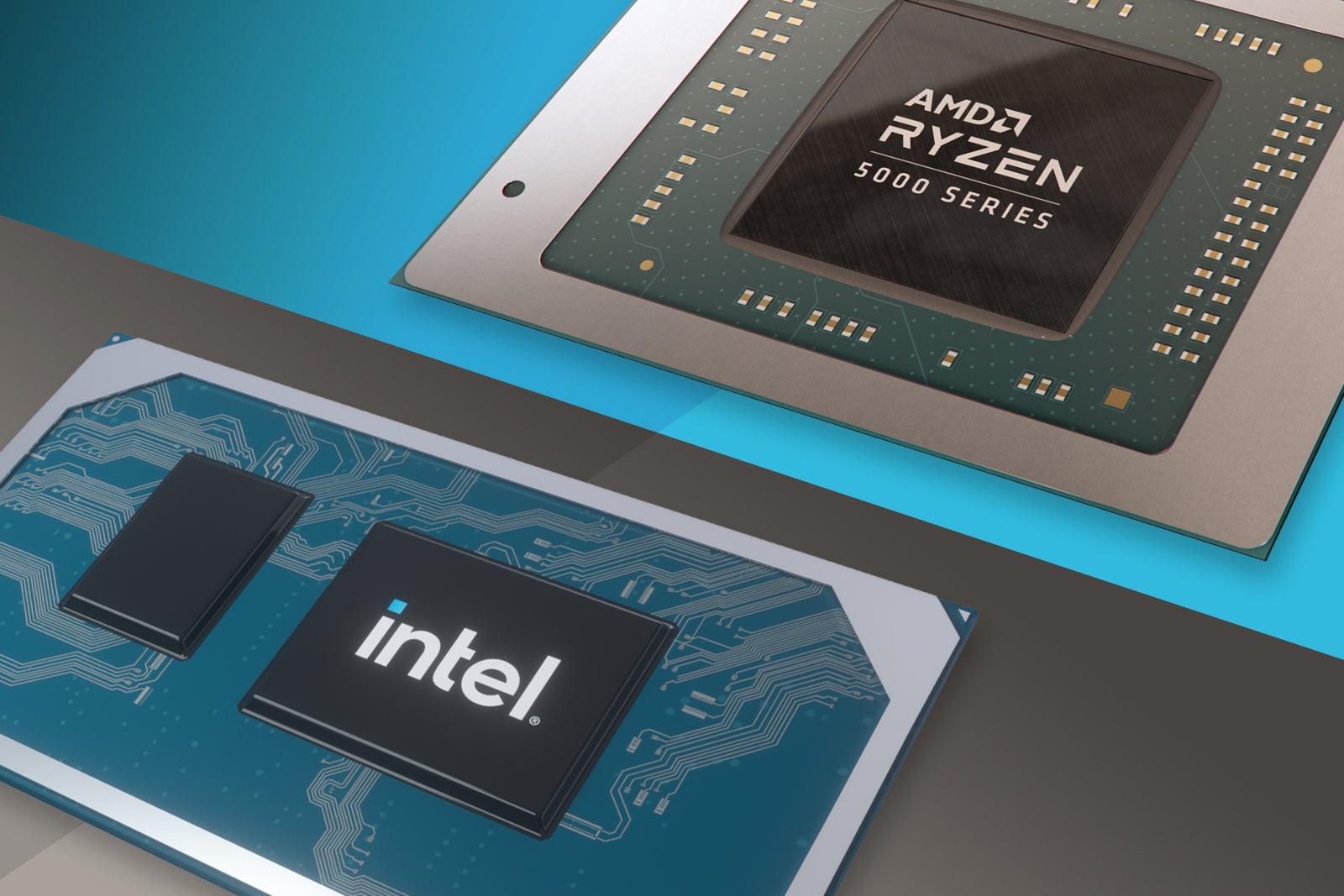 Detail Imagenes De Cpus Nomer 19