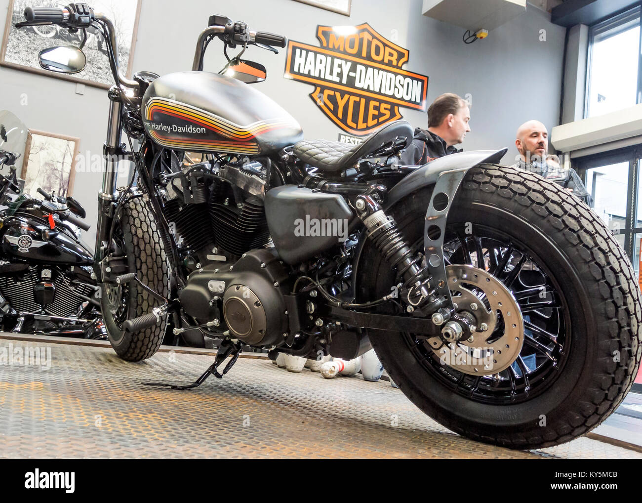 Detail Imagenes De Harley Davidson Nomer 43