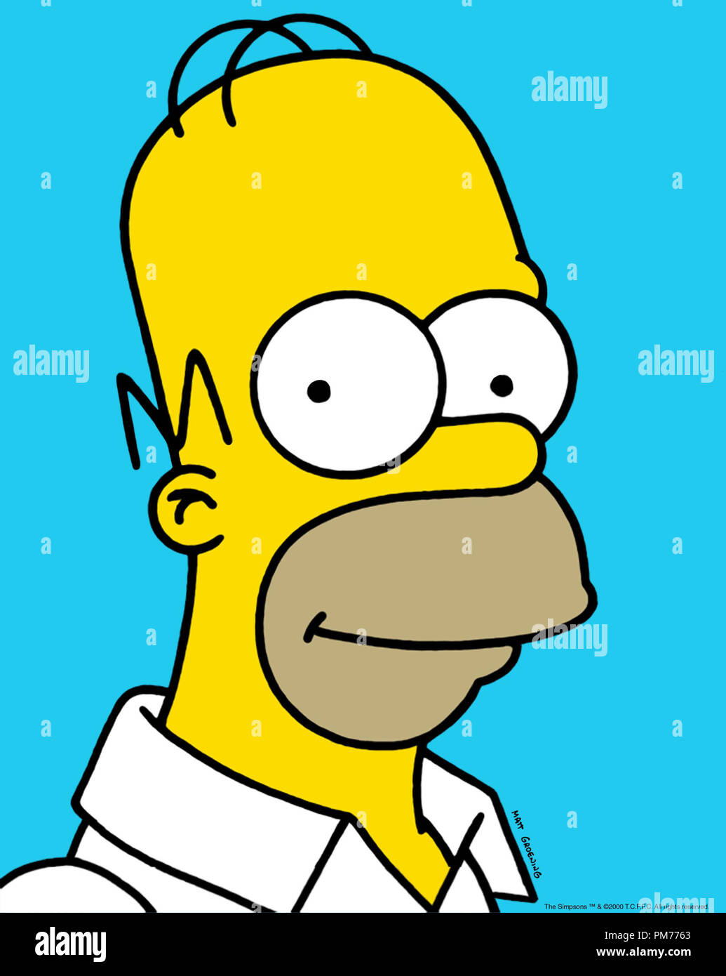 Detail Imagenes De Homero Simpson Nomer 17