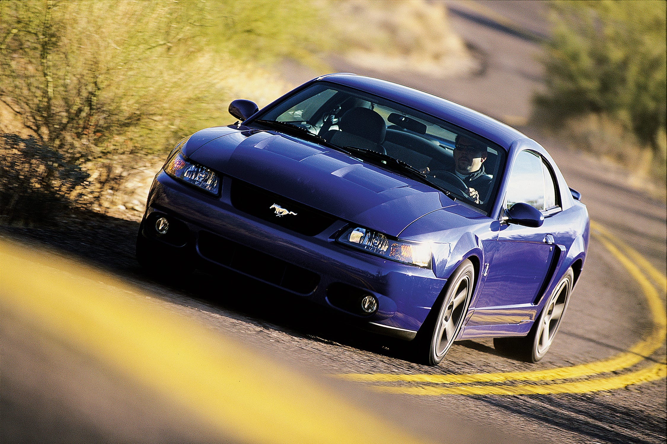 Detail Imagenes De Mustang Cobra Nomer 18