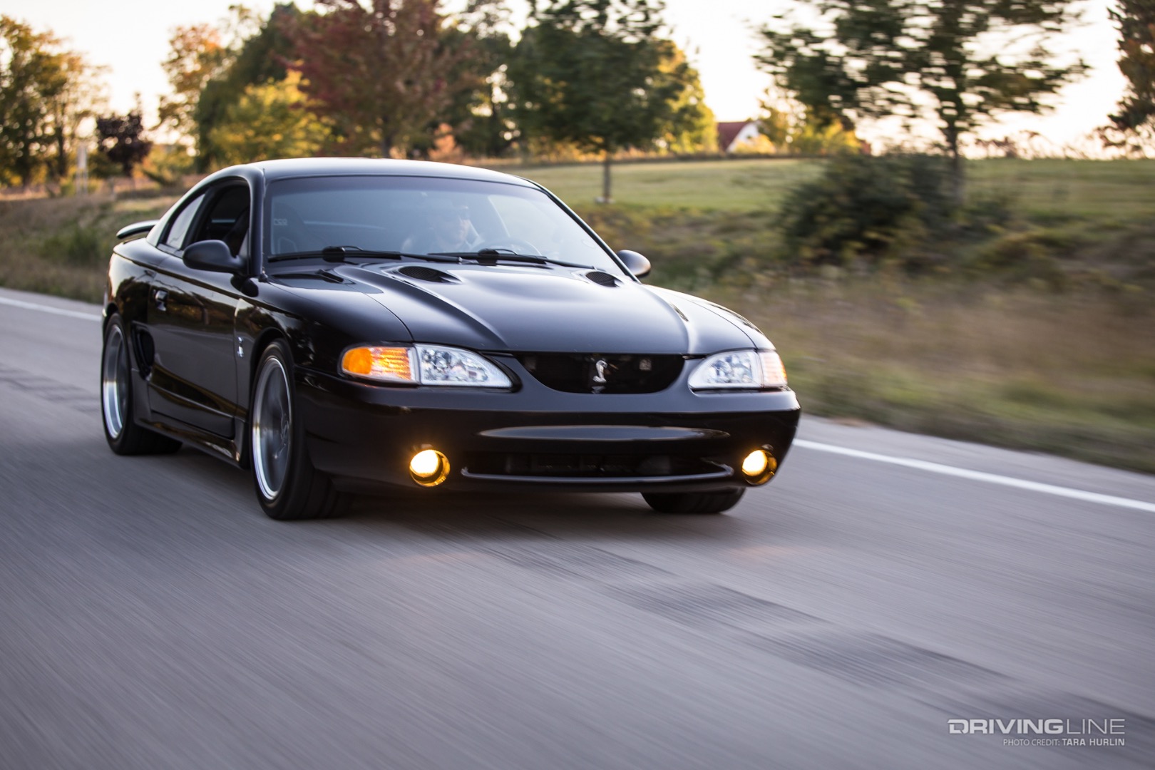 Detail Imagenes De Mustang Cobra Nomer 31