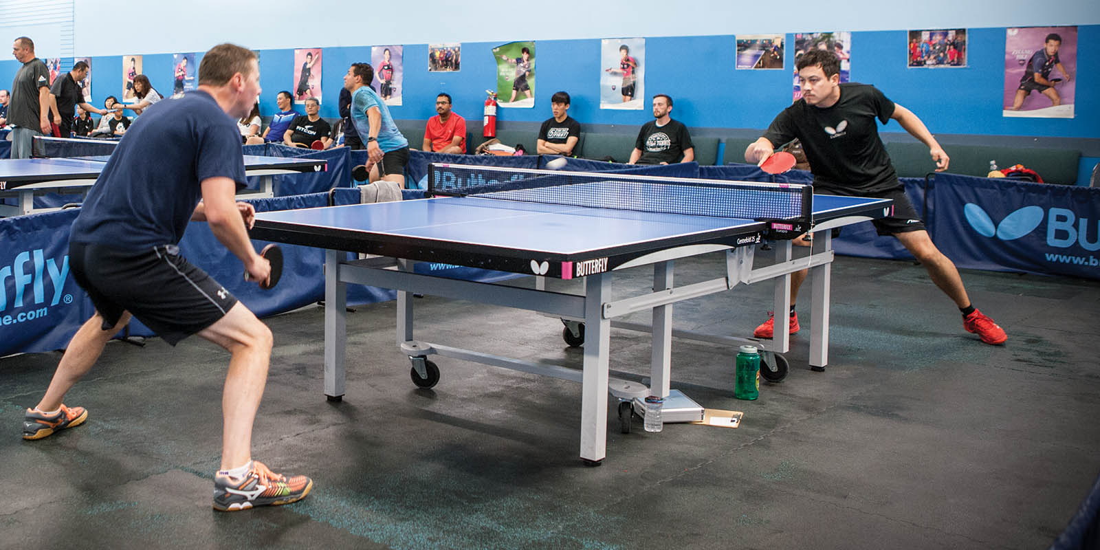 Detail Imagenes De Ping Pong Nomer 5