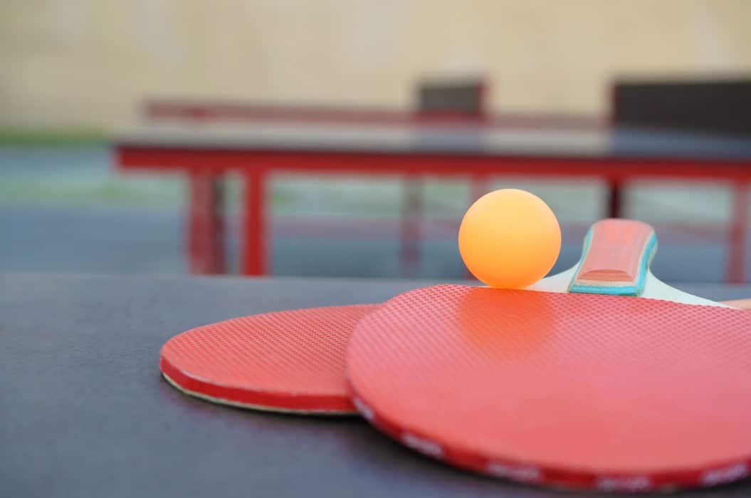 Detail Imagenes De Ping Pong Nomer 48