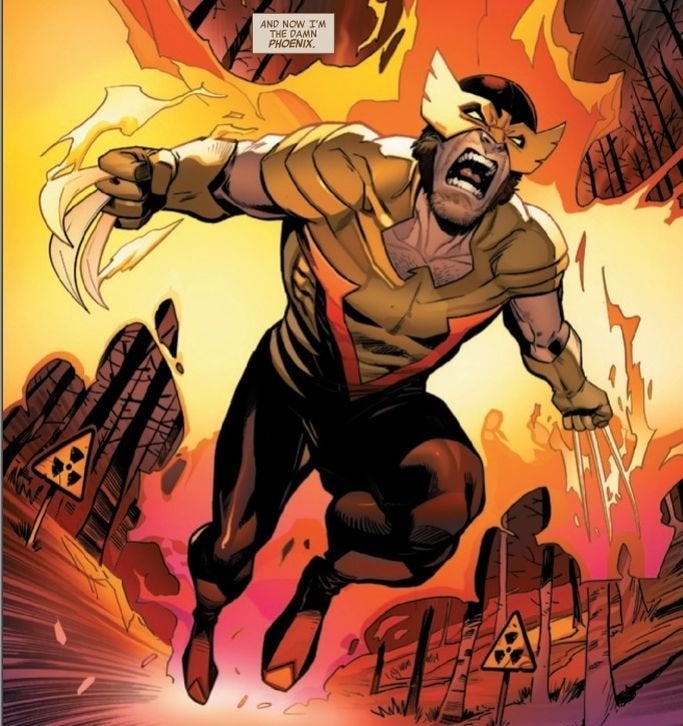 Detail Imagenes De Wolverine Nomer 49