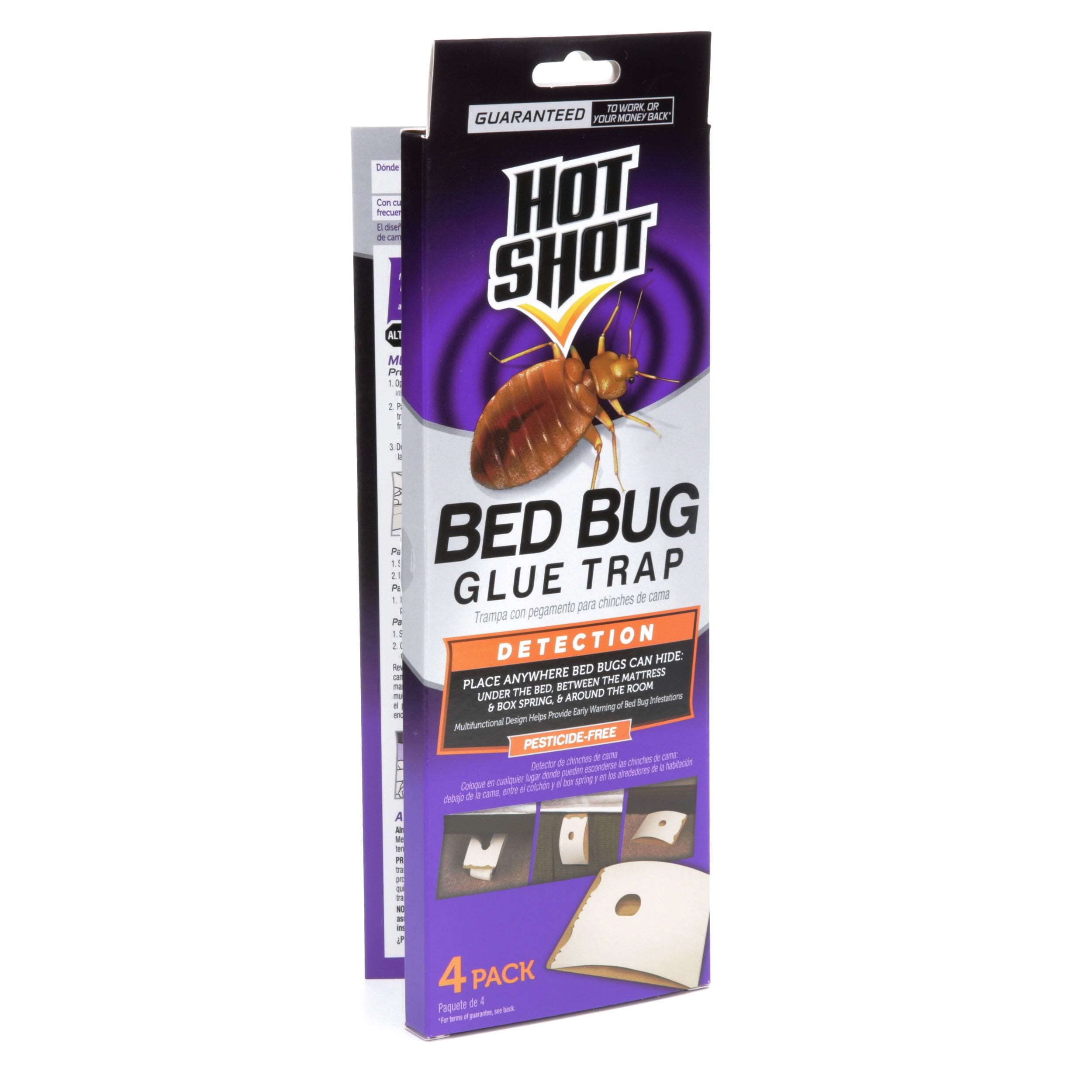 Detail Images Bed Bug Nomer 27