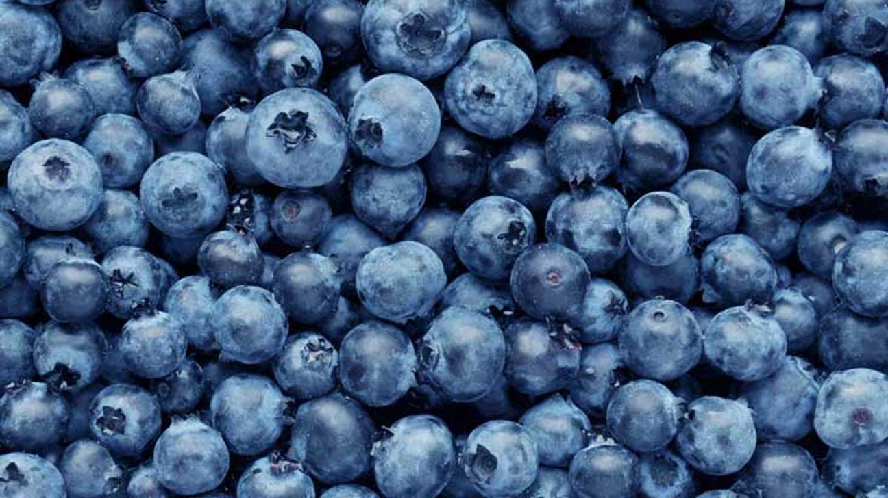 Images Blueberries - KibrisPDR