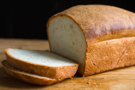 Detail Images Bread Nomer 28