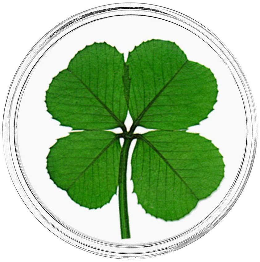 Detail Images Clover Nomer 44
