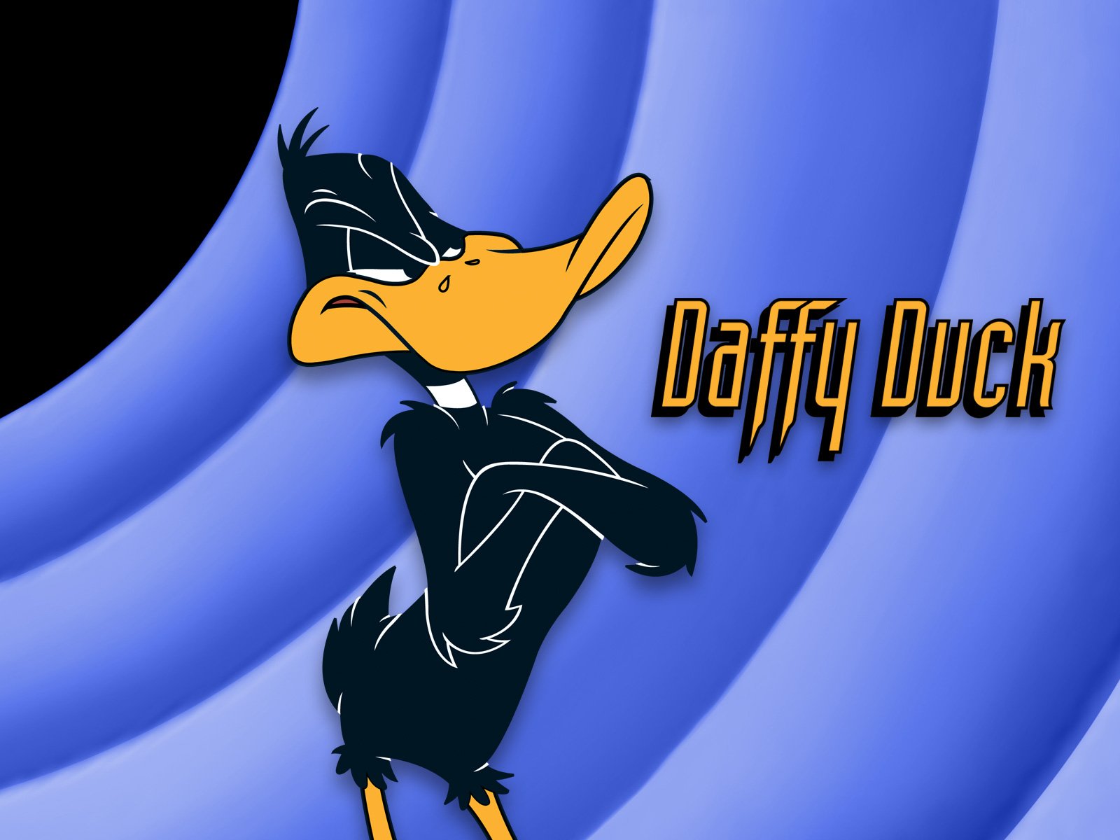 Detail Images Daffy Duck Nomer 52