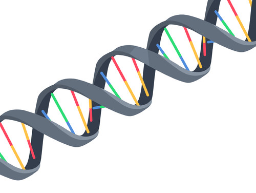 Detail Images Dna Nomer 15