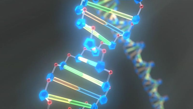 Detail Images Dna Nomer 19