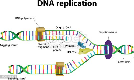 Detail Images Dna Nomer 36