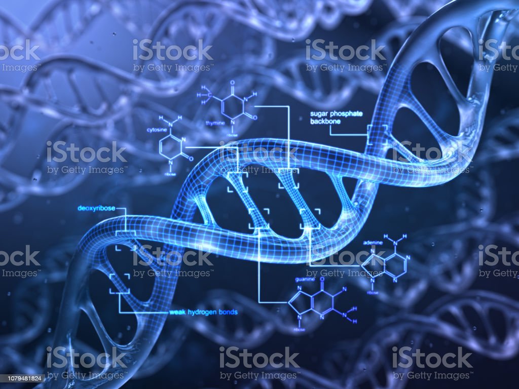 Detail Images Dna Nomer 52