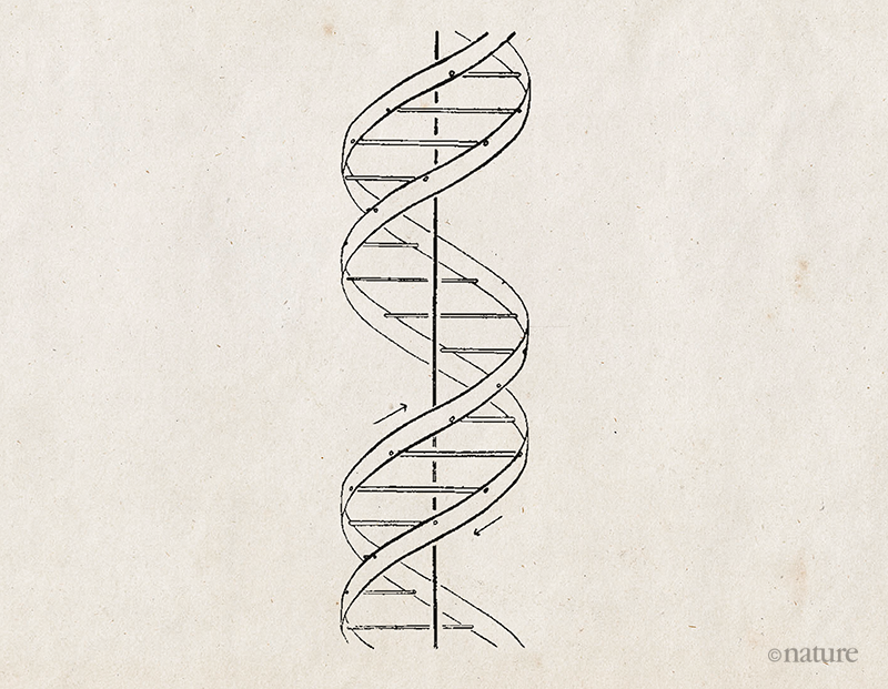 Detail Images Dna Nomer 57