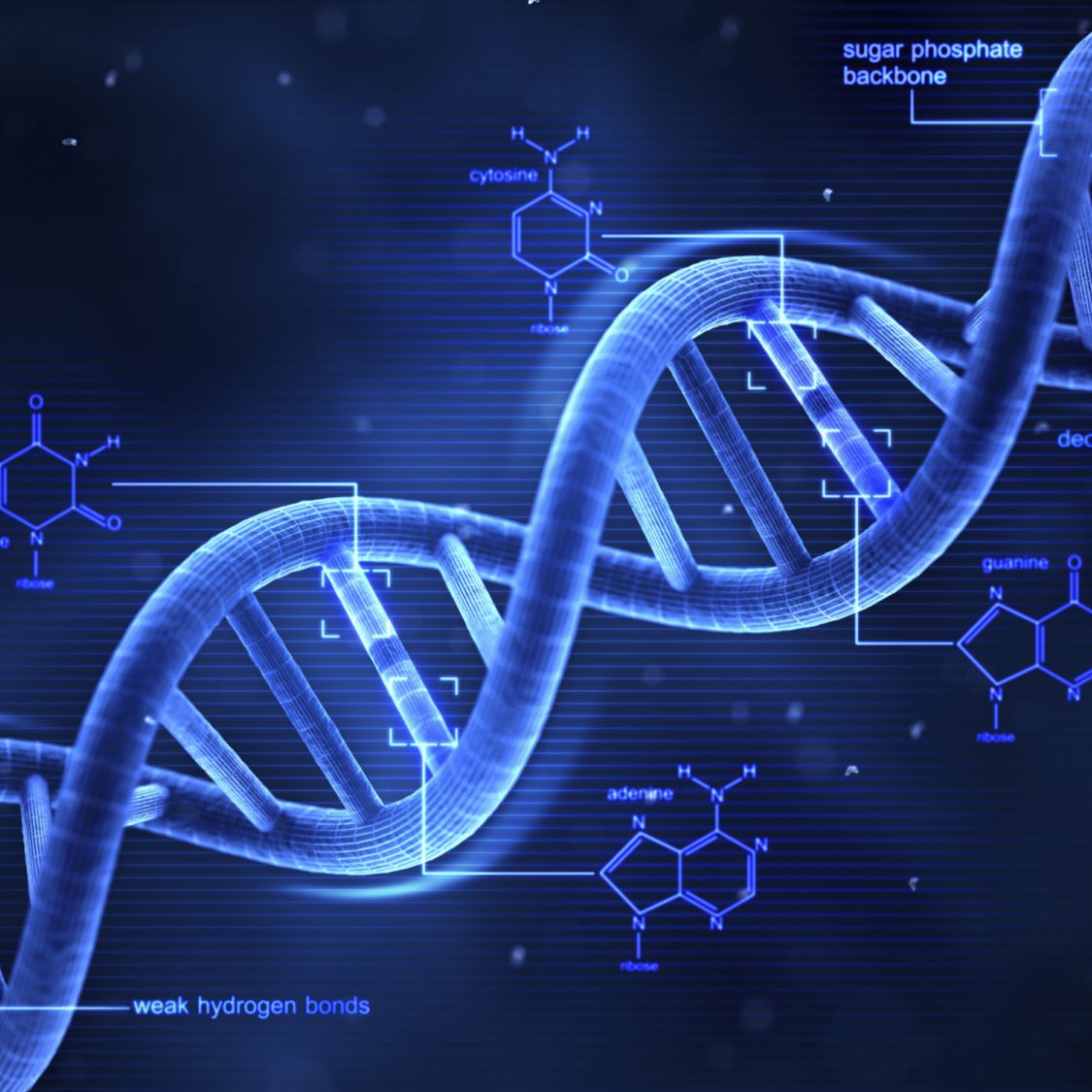 Detail Images Dna Nomer 7