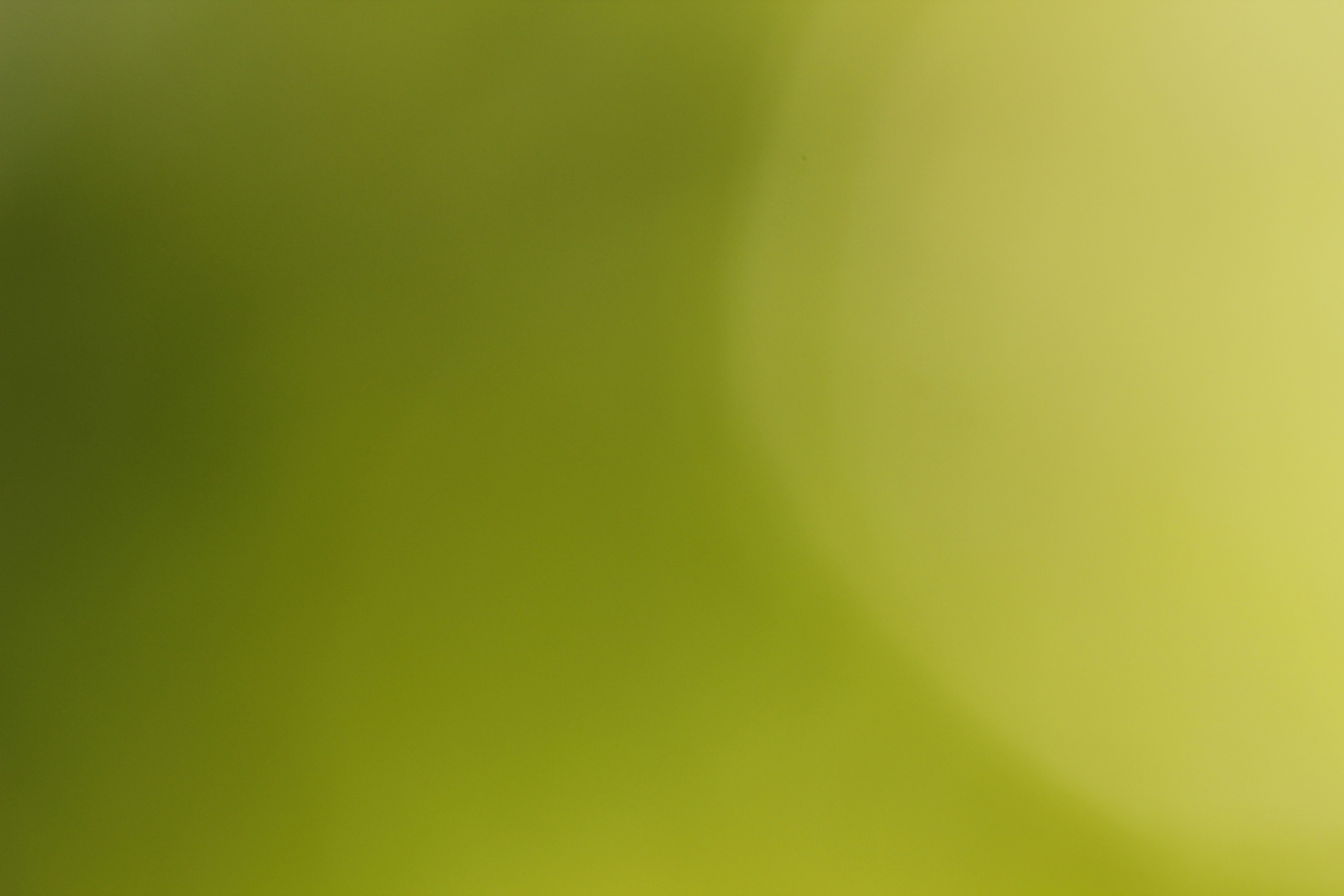 Detail Images For Website Background Free Download Nomer 41