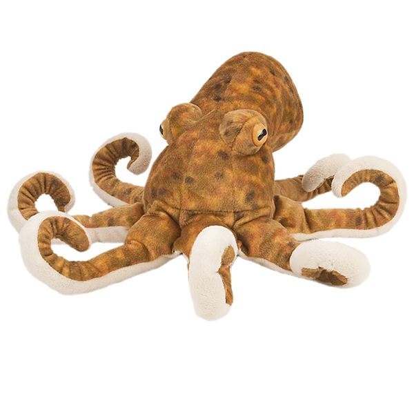 Detail Images Octopus Nomer 20