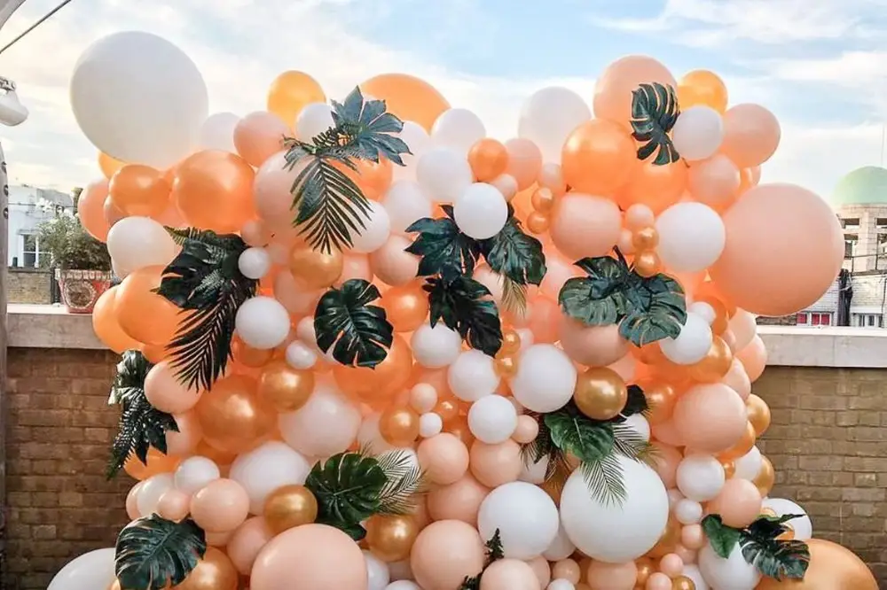 Detail Images Of A Balloon Nomer 29