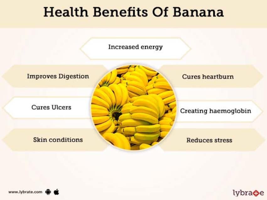 Detail Images Of A Banana Nomer 35