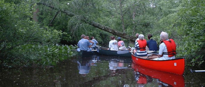 Detail Images Of A Canoe Nomer 38