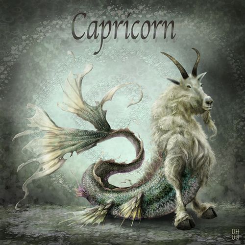 Detail Images Of A Capricorn Nomer 16