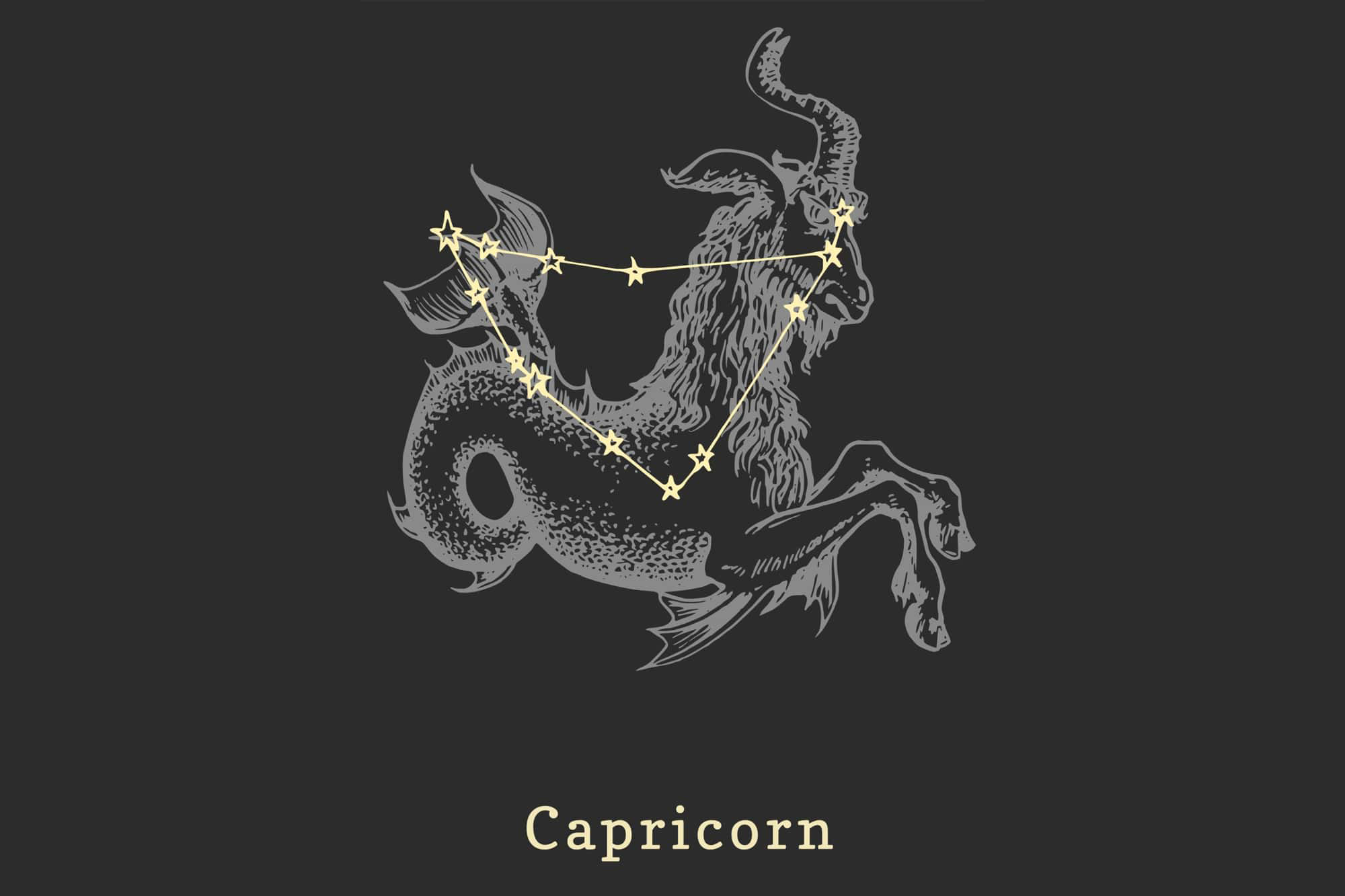 Detail Images Of A Capricorn Nomer 48