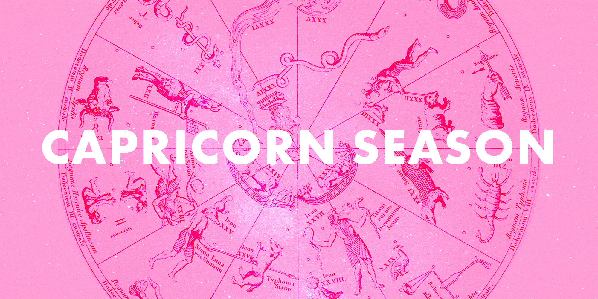 Detail Images Of A Capricorn Nomer 51