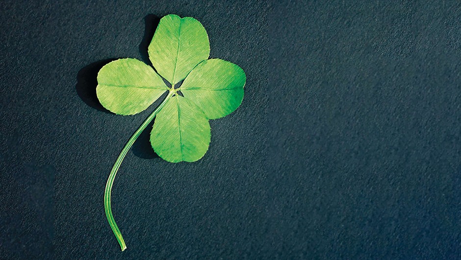 Detail Images Of A Clover Nomer 12