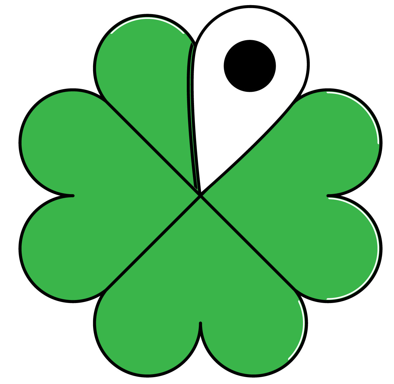Detail Images Of A Clover Nomer 13