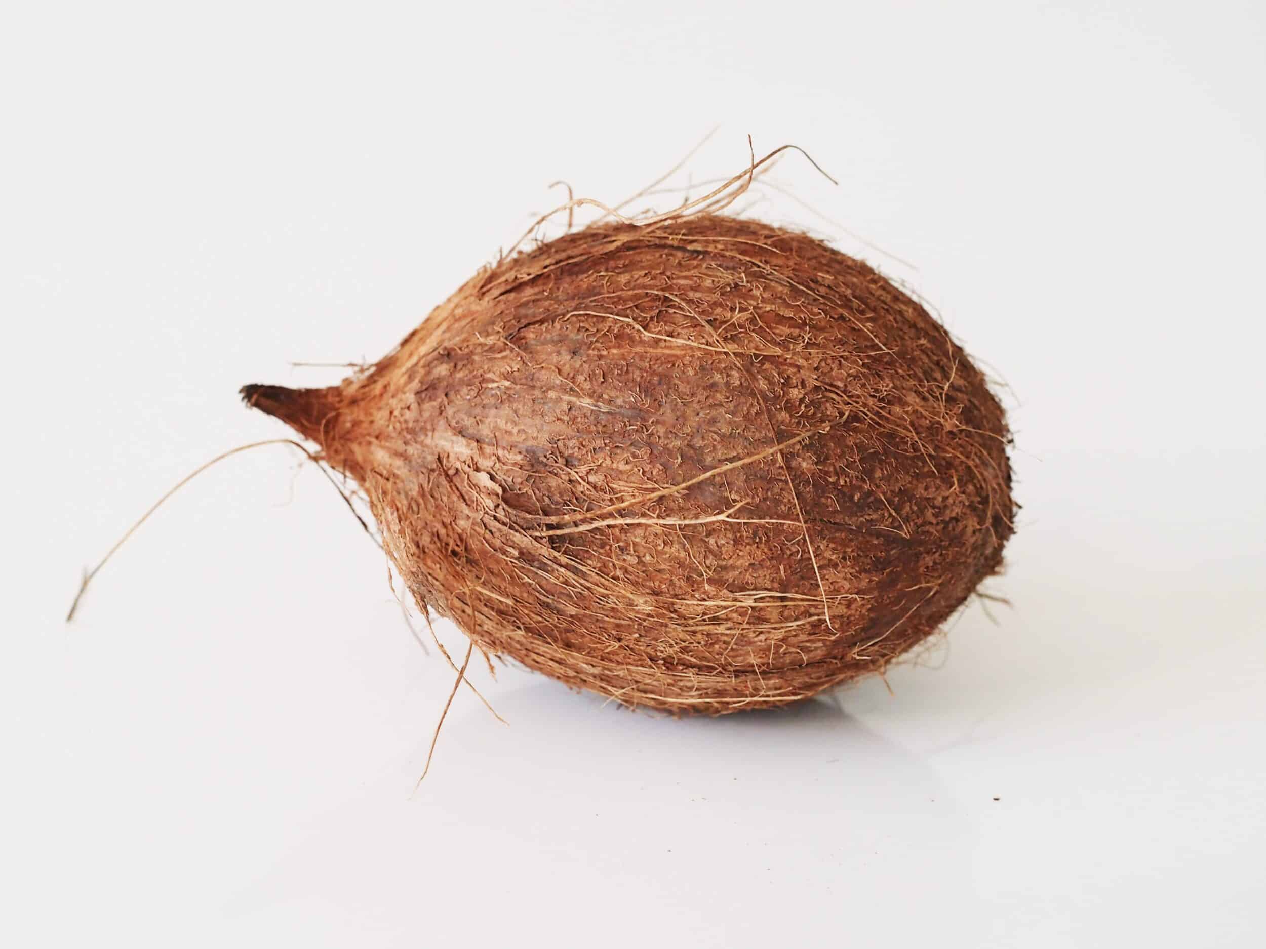 Detail Images Of A Coconut Nomer 5