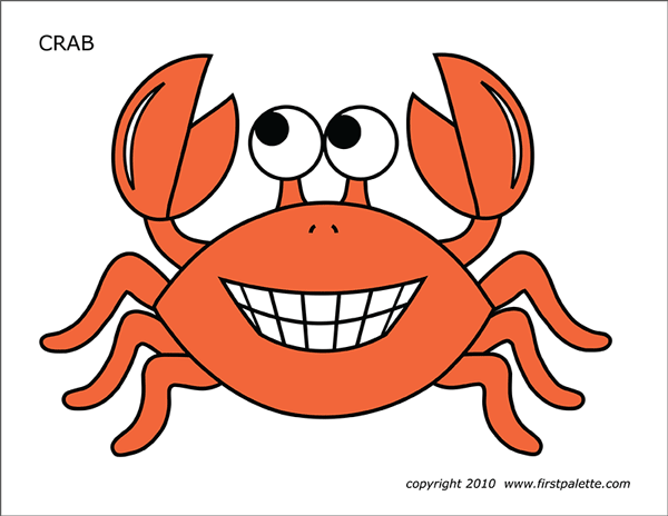 Detail Images Of A Crab Nomer 19