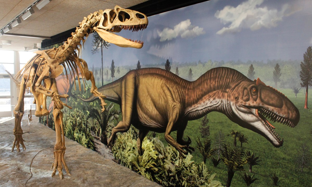 Detail Images Of A Dinosaur Nomer 31