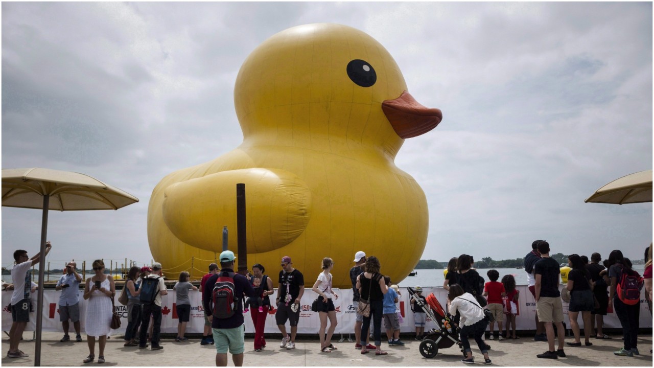 Detail Images Of A Duck Nomer 27