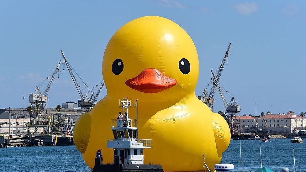 Detail Images Of A Duck Nomer 36