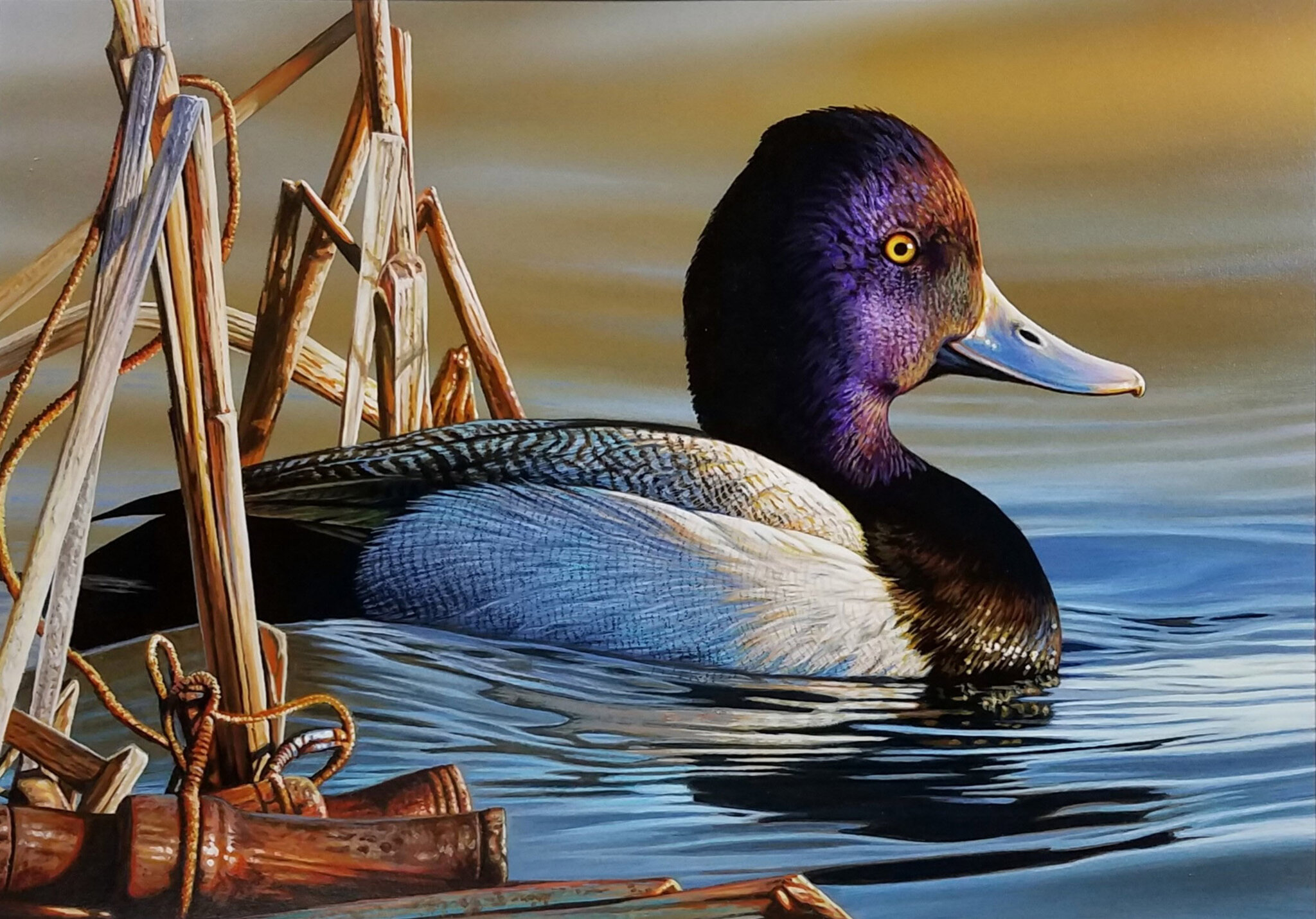 Detail Images Of A Duck Nomer 43