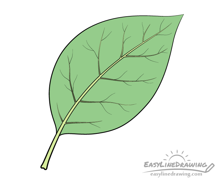 Detail Images Of A Leaf Nomer 19