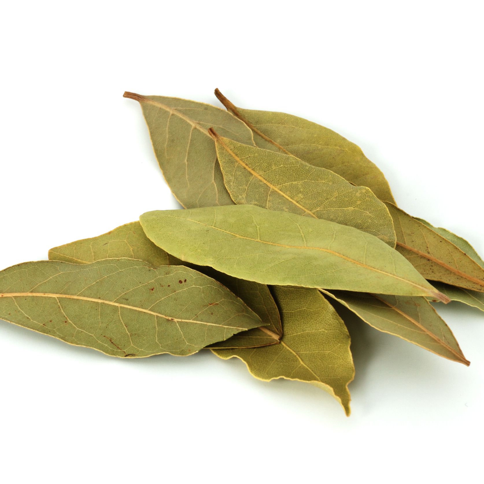 Detail Images Of A Leaf Nomer 48