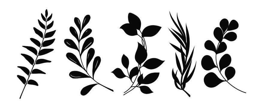 Detail Images Of A Leaf Nomer 51