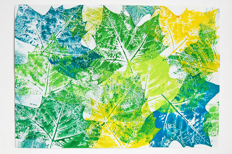 Detail Images Of A Leaf Nomer 52