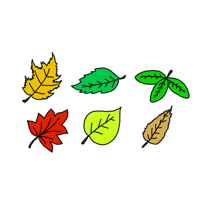 Detail Images Of A Leaf Nomer 53
