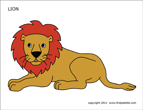 Detail Images Of A Lion Nomer 38