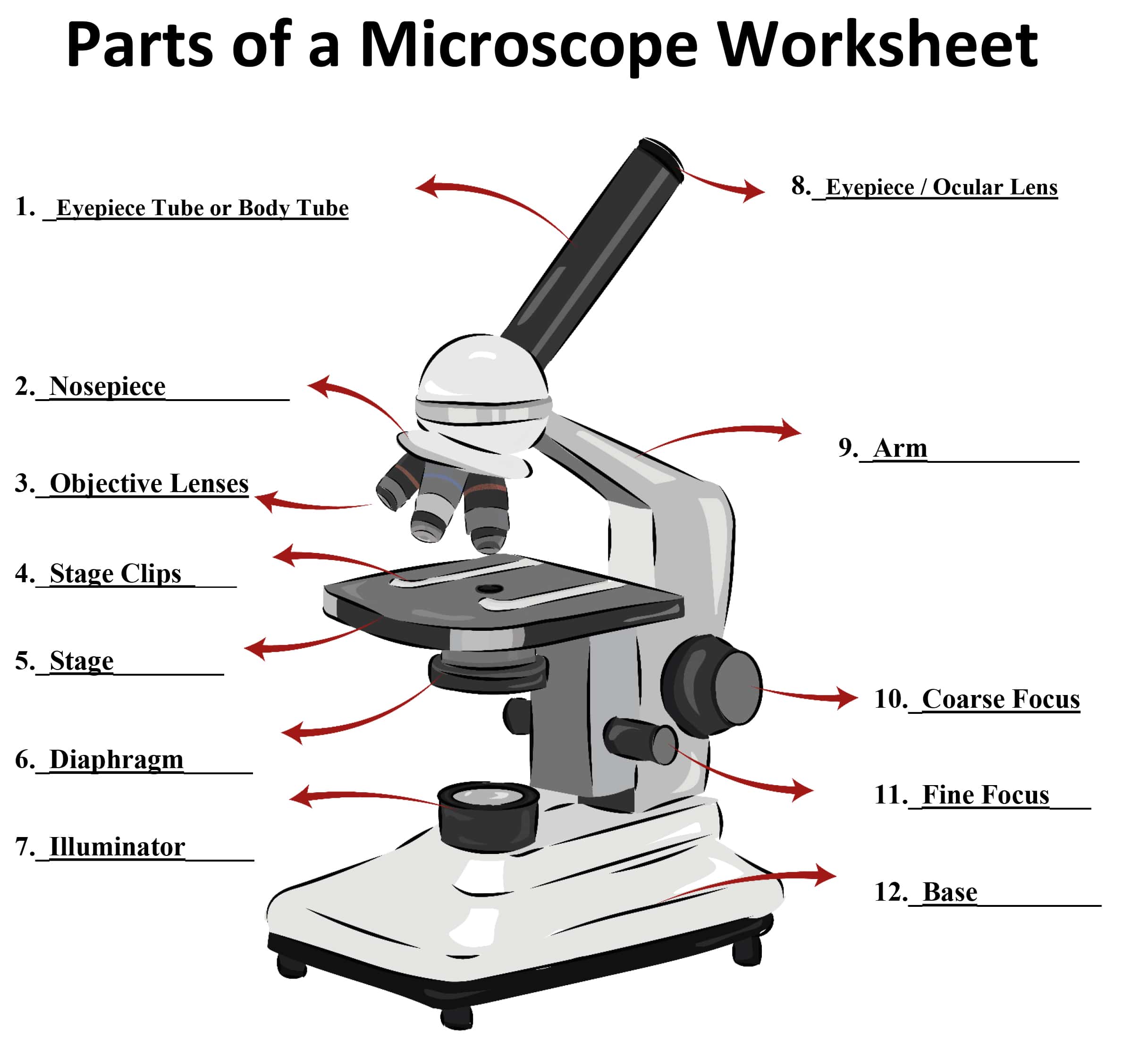 Detail Images Of A Microscope Nomer 3