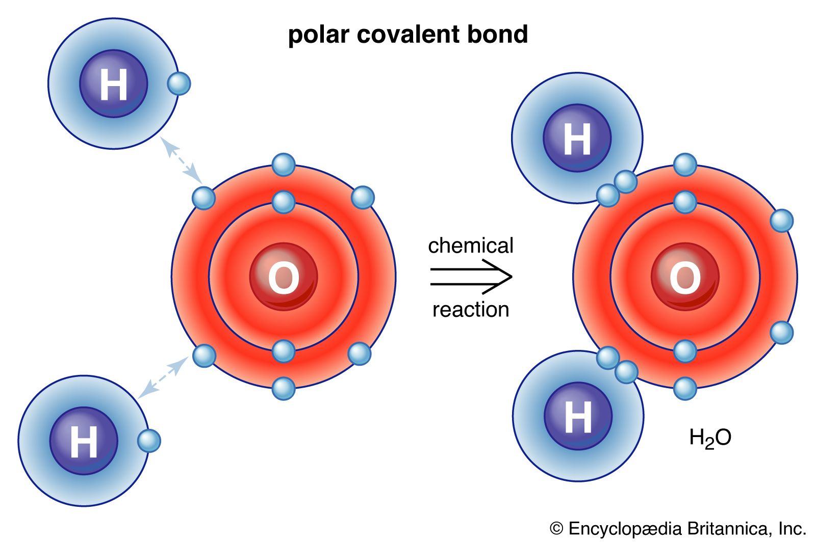 Detail Images Of A Molecule Nomer 13